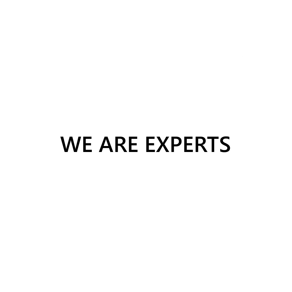 We are Experts