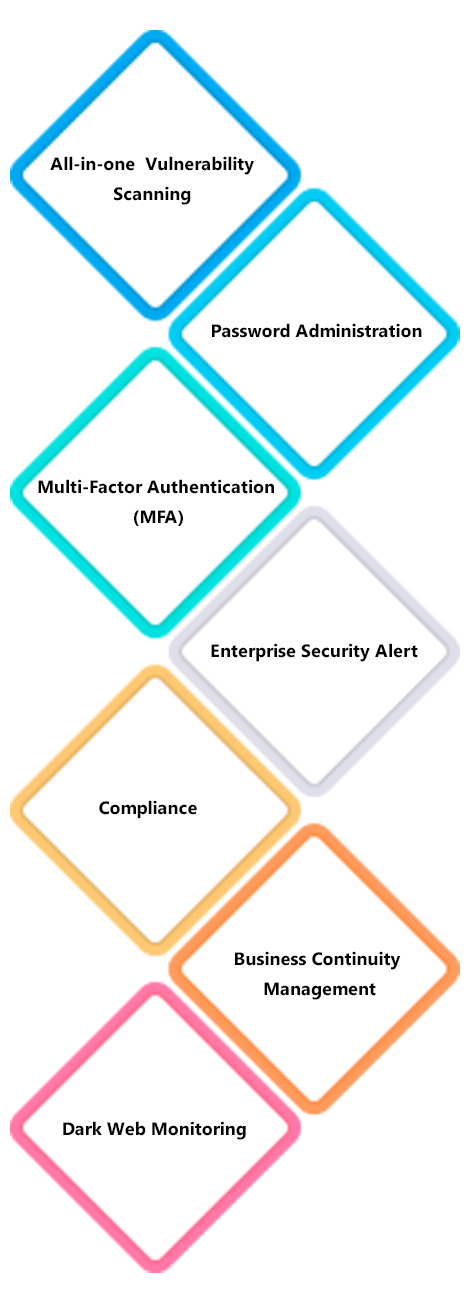 Strategic features of cyber security